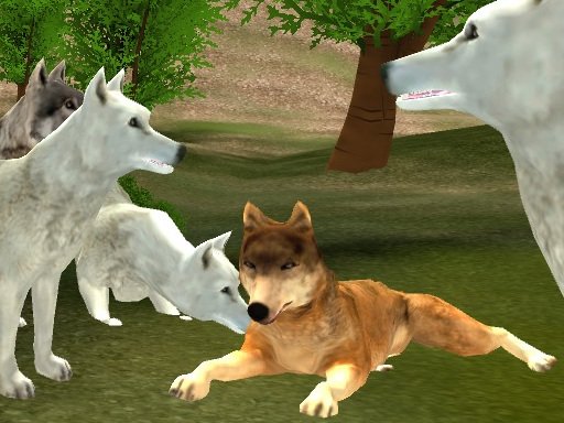 Wild Wolves oyunu