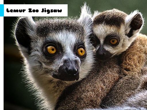 Lemur Zoo Jigsaw oyunu