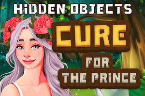 Play Hidden Objects Cure For The Prince Game