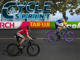 Cycle Sprint (Bisiklet Yarışı) oyunu